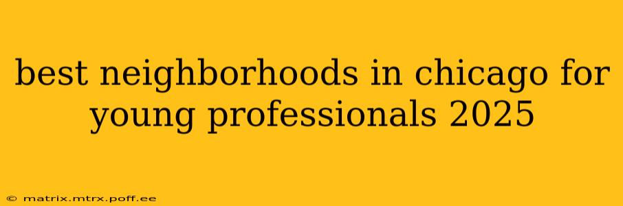 best neighborhoods in chicago for young professionals 2025