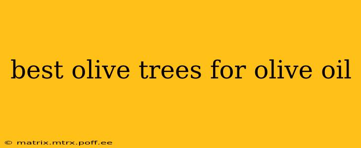 best olive trees for olive oil