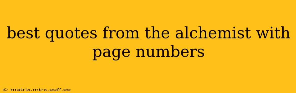 best quotes from the alchemist with page numbers