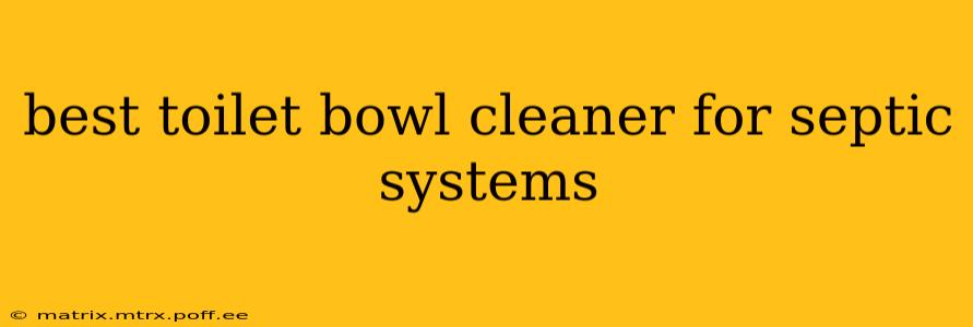 best toilet bowl cleaner for septic systems