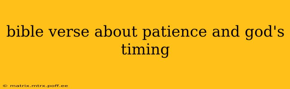 bible verse about patience and god's timing