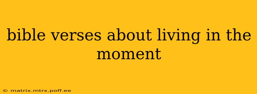 bible verses about living in the moment