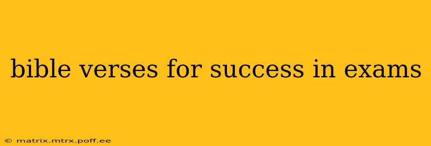 bible verses for success in exams