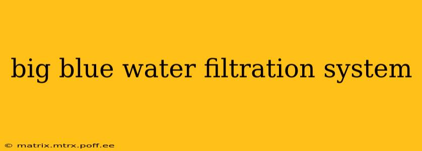 big blue water filtration system