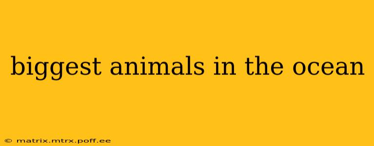 biggest animals in the ocean