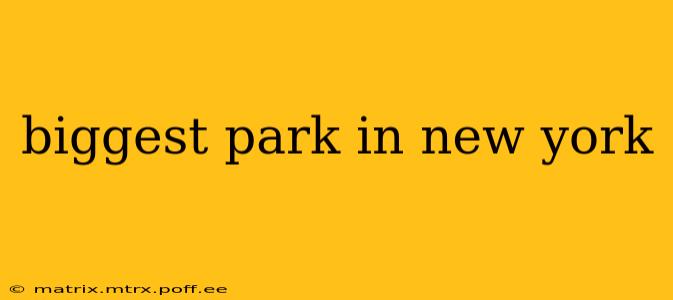 biggest park in new york