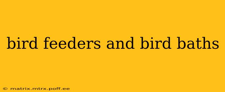 bird feeders and bird baths