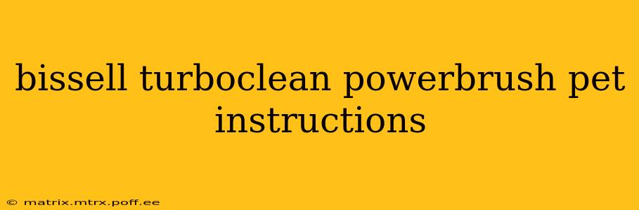 bissell turboclean powerbrush pet instructions