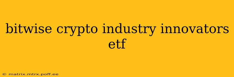 bitwise crypto industry innovators etf