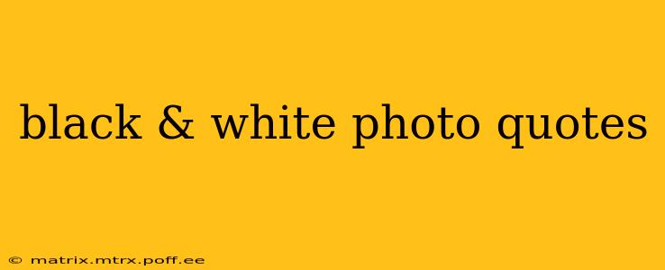 black & white photo quotes