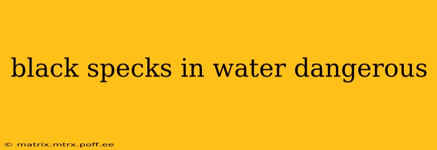 black specks in water dangerous