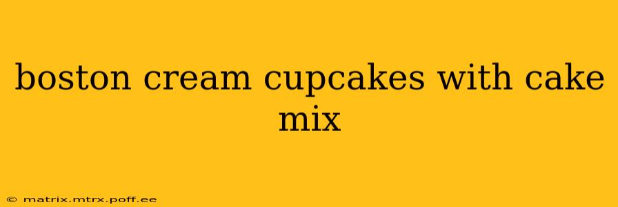 boston cream cupcakes with cake mix