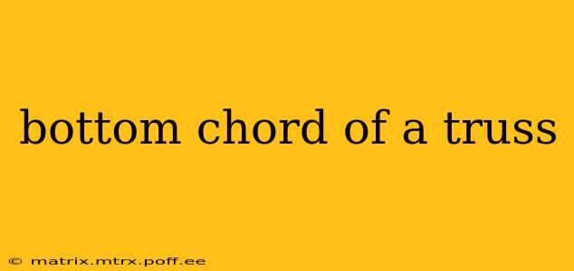 bottom chord of a truss