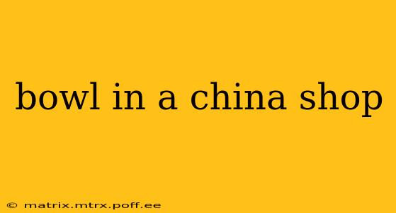 bowl in a china shop