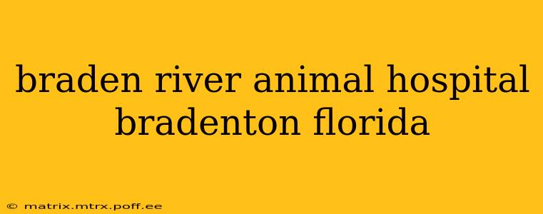 braden river animal hospital bradenton florida