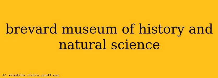 brevard museum of history and natural science