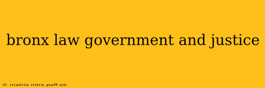 bronx law government and justice