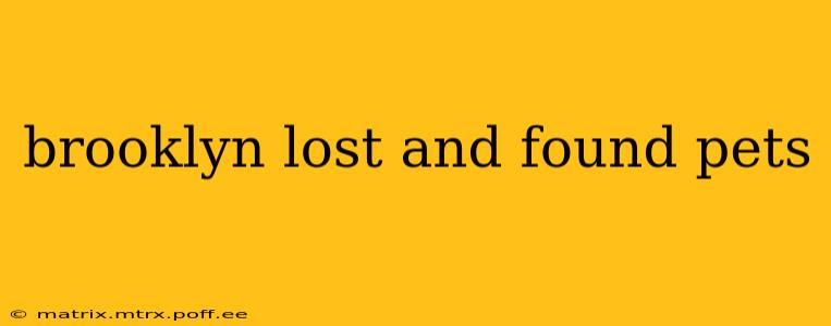 brooklyn lost and found pets