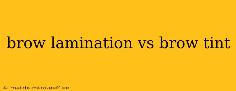 brow lamination vs brow tint