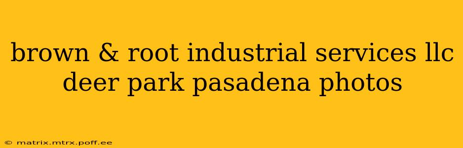 brown & root industrial services llc deer park pasadena photos