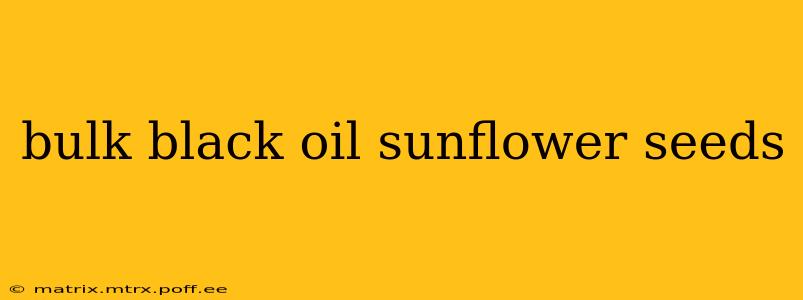 bulk black oil sunflower seeds