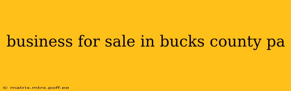 business for sale in bucks county pa