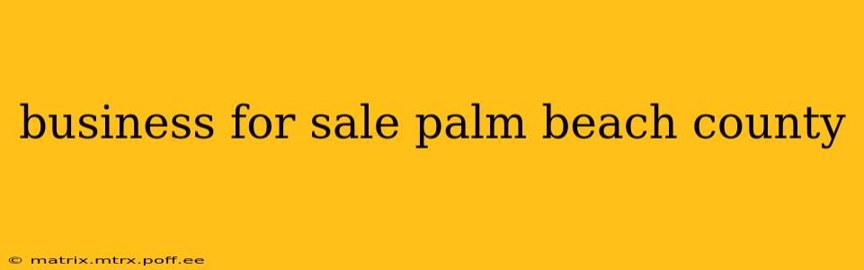 business for sale palm beach county