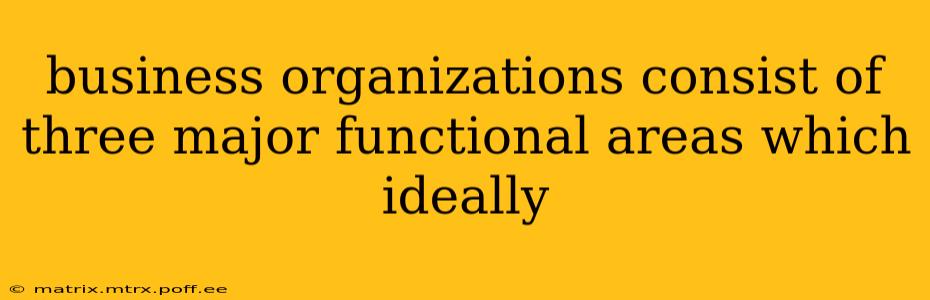 business organizations consist of three major functional areas which ideally
