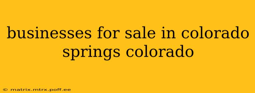 businesses for sale in colorado springs colorado