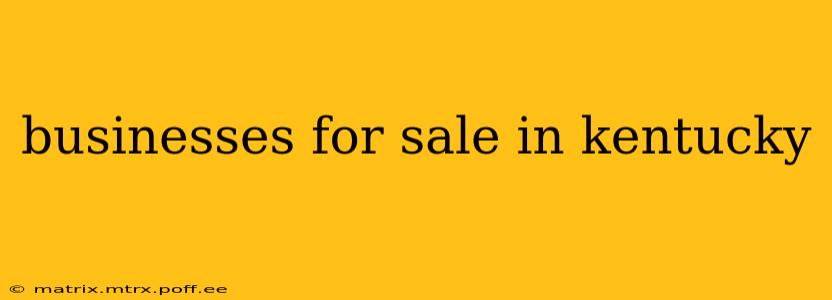 businesses for sale in kentucky
