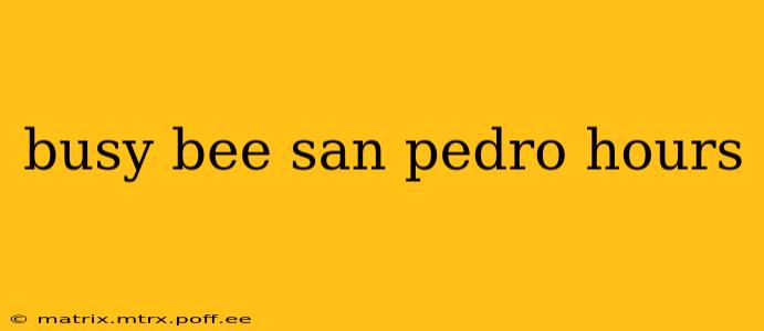 busy bee san pedro hours