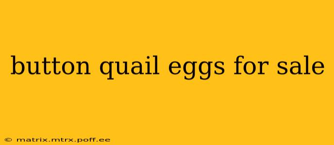 button quail eggs for sale