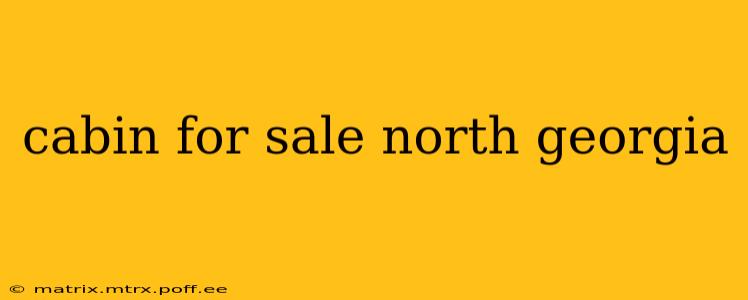 cabin for sale north georgia