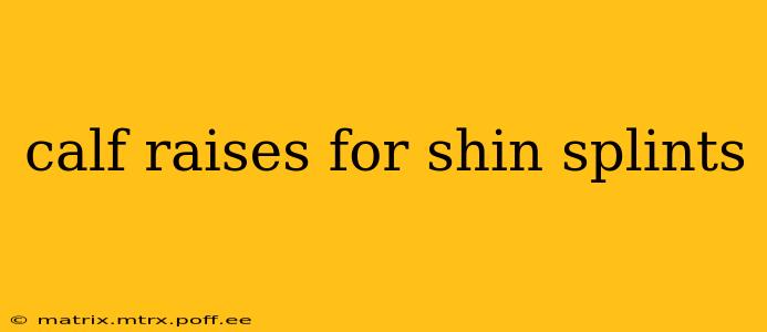 calf raises for shin splints