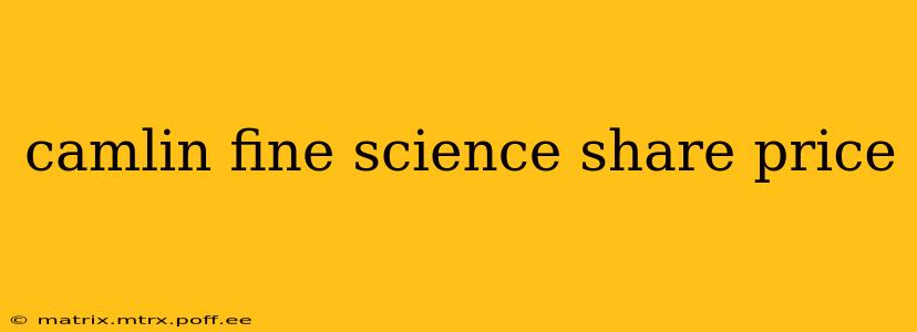camlin fine science share price