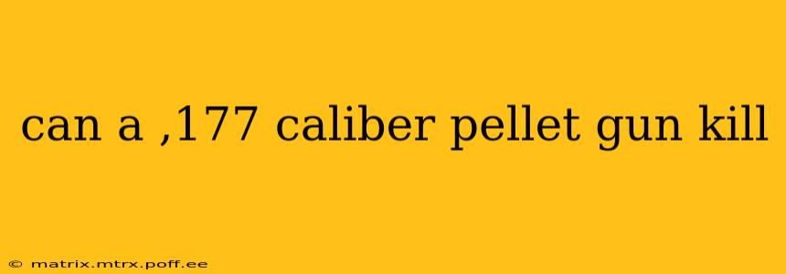 can a ,177 caliber pellet gun kill