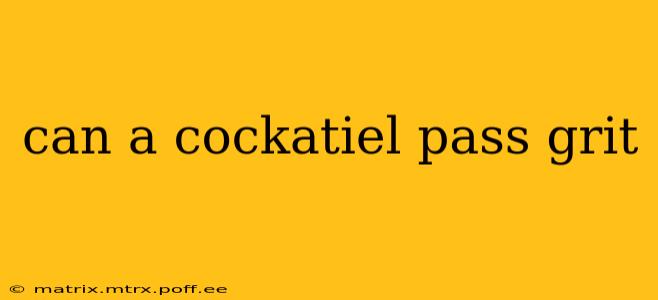can a cockatiel pass grit