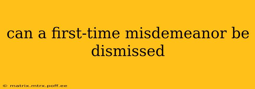 can a first-time misdemeanor be dismissed