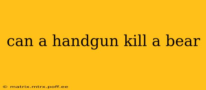 can a handgun kill a bear