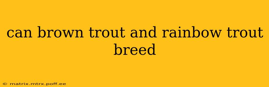 can brown trout and rainbow trout breed