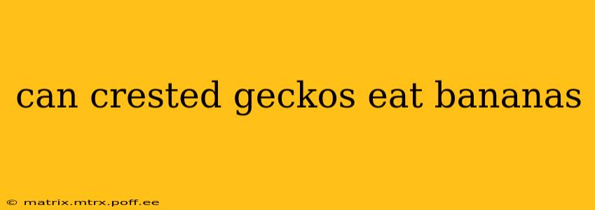 can crested geckos eat bananas