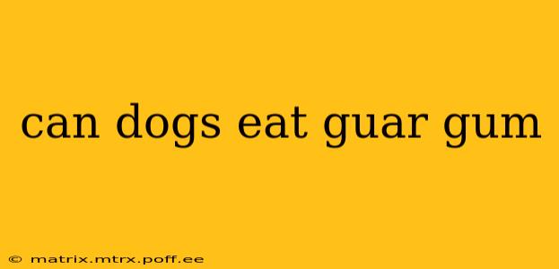 can dogs eat guar gum