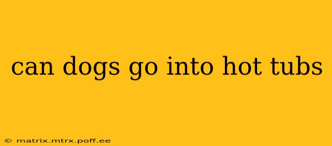 can dogs go into hot tubs