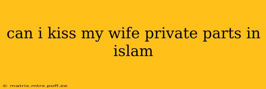 can i kiss my wife private parts in islam