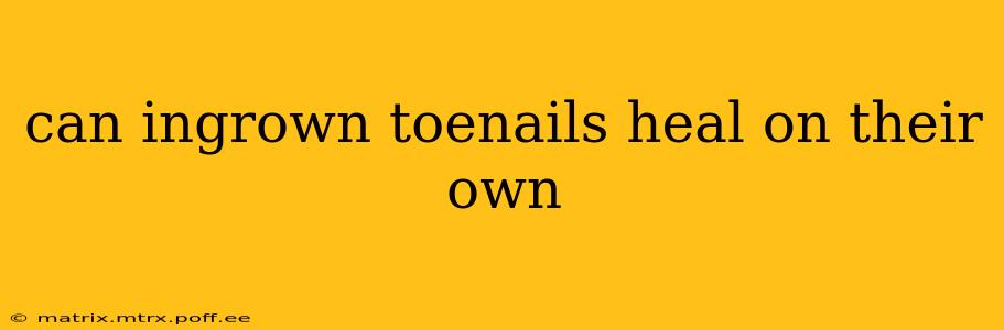 can ingrown toenails heal on their own