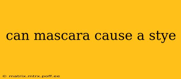 can mascara cause a stye