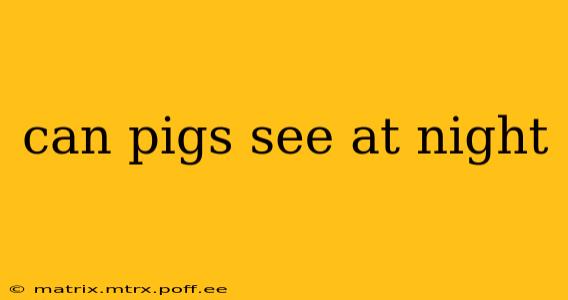 can pigs see at night