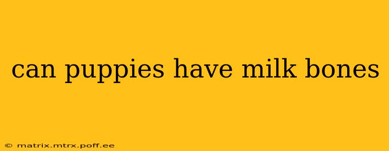 can puppies have milk bones