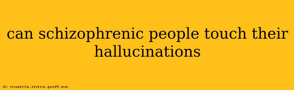 can schizophrenic people touch their hallucinations