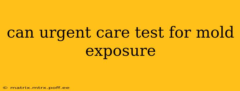 can urgent care test for mold exposure